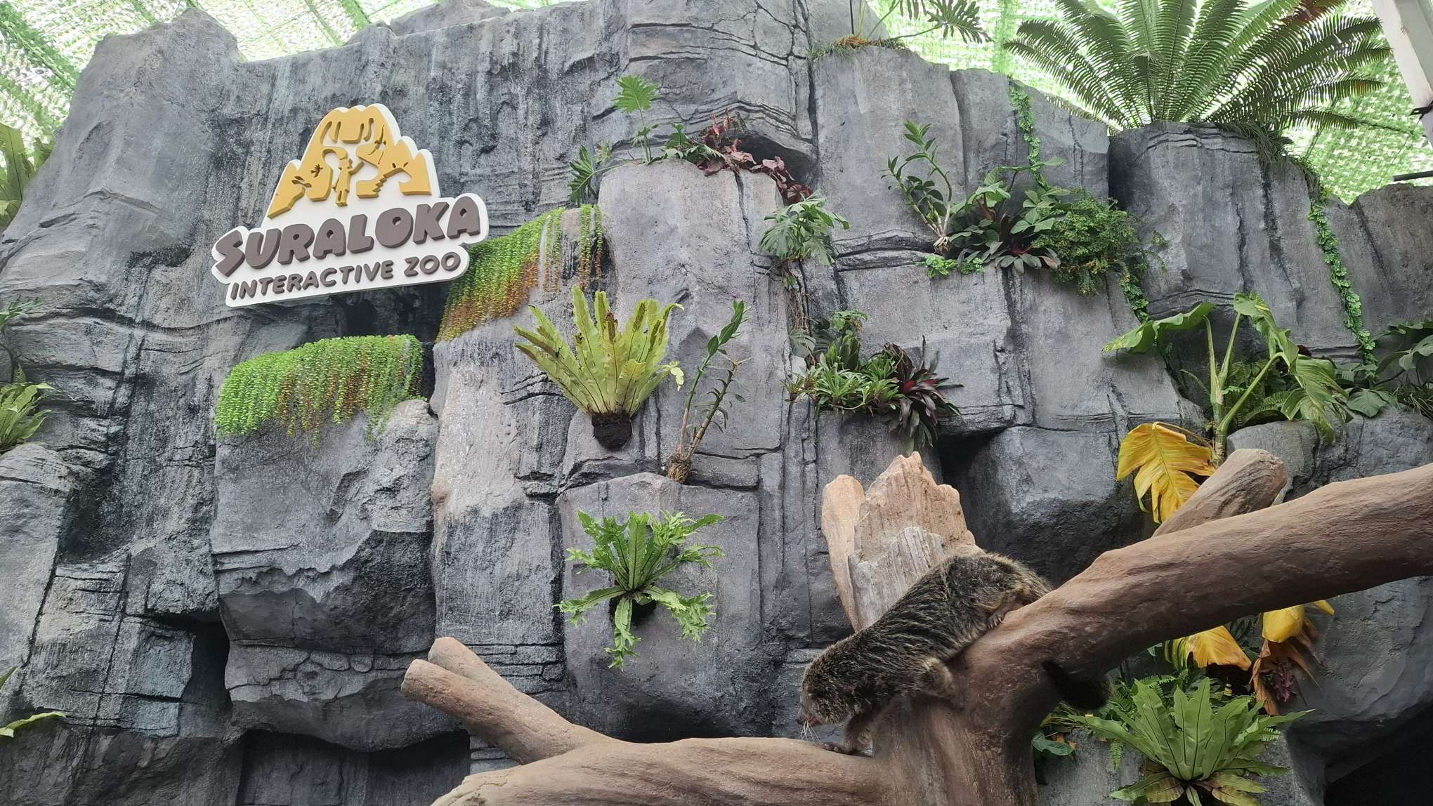 Sambut Libur Lebaran, Suraloka Zoo Yogya Tawarkan Zona Baru, Apa Saja?