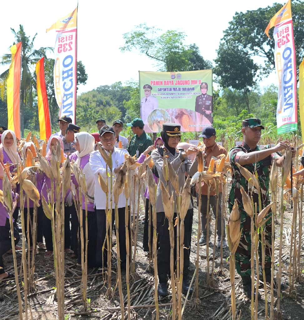 Kapolres Gunungkidul Hadiri Panen Raya Jagung Plus Berpamitan