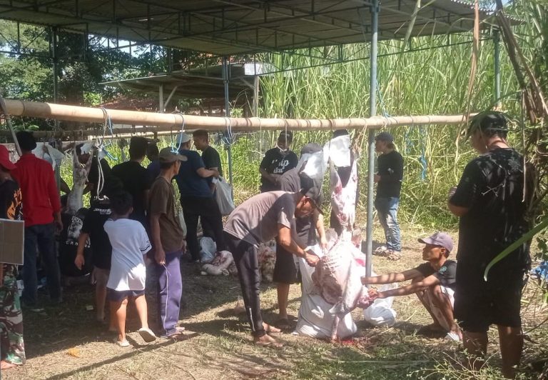Kisah Inspirasi Di Padukuhan Kersan Bantul, Semangat Gotong  royong Penyembelihan Hewan Qurban Idul Adha 1446 Hijriah