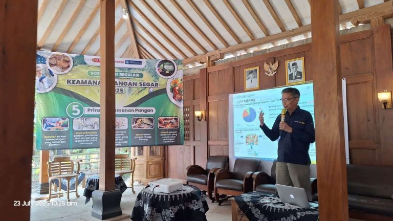 Pakar UGM Sebut Cuci Beras Tidak Efektif Hilangkan Zat Berbahaya Beras Oplosan