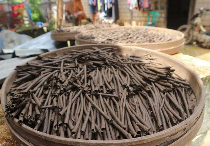 Amankah Mengonsumsi Ampo? Ini Kata Pakar Gizi UGM Amankah Mengonsumsi Ampo? Ini Kata Pakar Gizi UGM