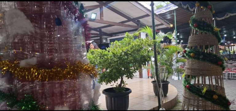 Natal 2025 di Gereja Katolik Baciro Kota Jogja, Selipkan Doa untuk Bencana Sumatera