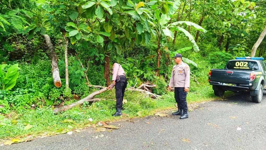 Sedang Mengendarai Motor Tertimpa Pohon Ibu Dukuh Beserta Bayi di dalam Kandungan Meninggal Dunia