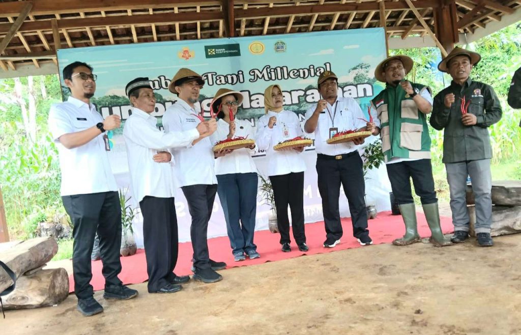 Luar Biasa, Poktan Millenial Kalurahan Balong Sukses Panen Cabai di Lahan Lumbung Mataraman