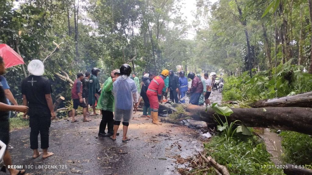 Cuaca Ekstrem di Sleman Porak Poranda Rumah dan Pohon di Puluhan Titik