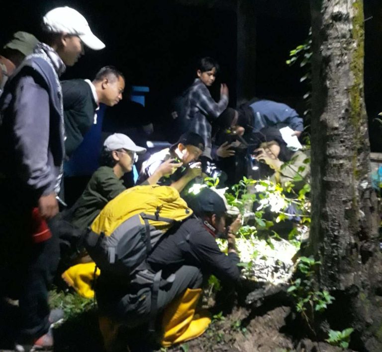 Eksplorasi Keanekaragaman Hayati, BKSDA DIY Gelar Pelatihan dan Inventarisasi di Lendah