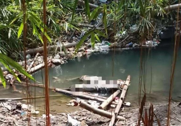 Penemuan Mencengangkan: Jenazah dan Tengkorak Manusia Ditemukan di Pajangan Bantul