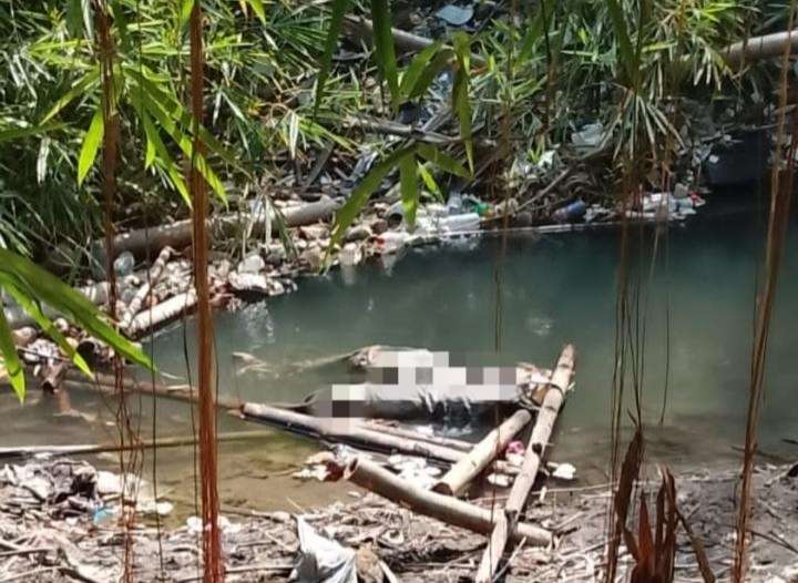 Penemuan Mencengangkan: Jenazah dan Tengkorak Manusia Ditemukan di Pajangan Bantul