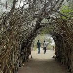 Pantai Goa Cemara “Bersolek” Usai Tarif Turun: Hadirkan Kafe Modern, Camping Ground, dan Festival Lampion
