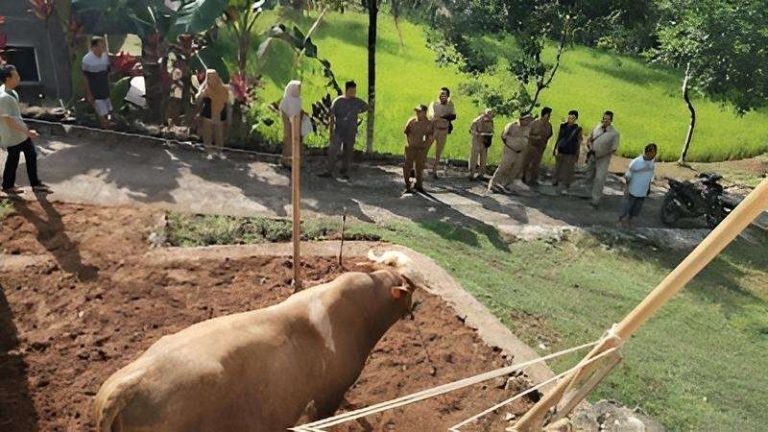 Serahkan 51 Hewan Kurban, Pemkab Gunungkidul Kolaborasi Lintas Sektor Dukung Ekonomi Lokal