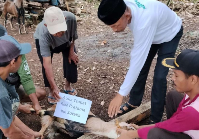 Hari Pertama Idul Adha, Jamaah Masjid Ja’far Bin Abi Thalib Sembelih 10 Kambing: Wujud Solidaritas dan Berbagi