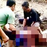 Misteri Pria Berinisial IG Meninggal Bersujud di Tengah Ladang Kacang
