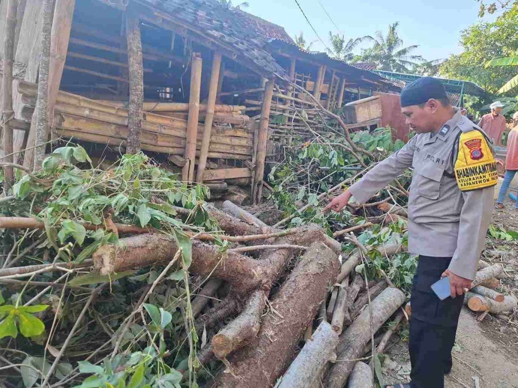 Musibah Tertimpa Pohon Karet: Warga Kayugerit Meninggal Dalam Perjalanan ke Rumah Sakit Musibah Tertimpa Pohon Karet: Warga Kayugerit Meninggal Dalam Perjalanan ke Rumah Sakit