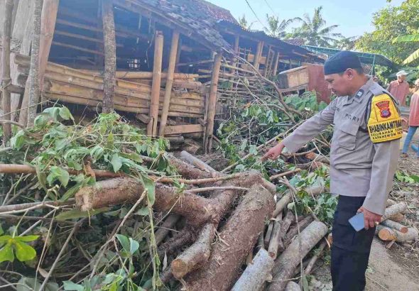 Musibah Tertimpa Pohon Karet: Warga Kayugerit Meninggal Dalam Perjalanan ke Rumah Sakit Musibah Tertimpa Pohon Karet: Warga Kayugerit Meninggal Dalam Perjalanan ke Rumah Sakit